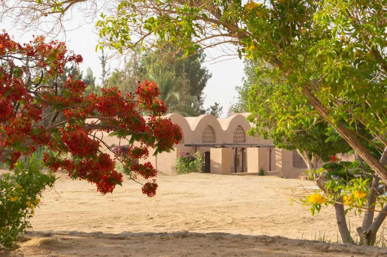 Tzila Bahariya Vila Bahariya Oasis Exterior foto