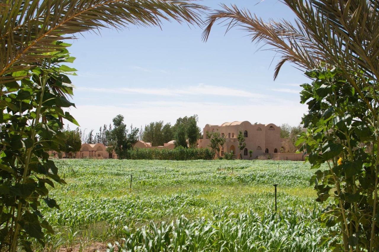 Tzila Bahariya Vila Bahariya Oasis Exterior foto