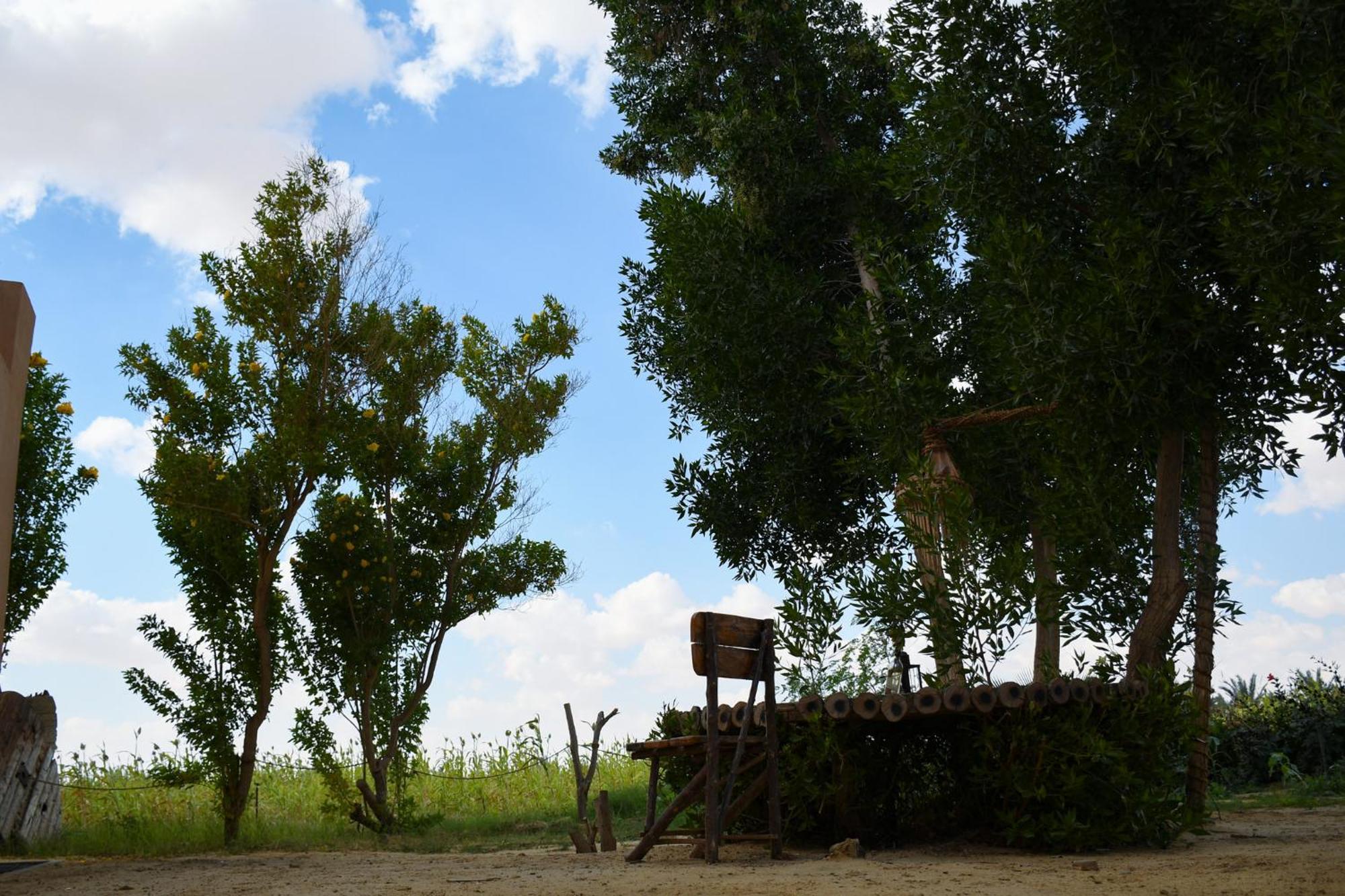 Tzila Bahariya Vila Bahariya Oasis Exterior foto